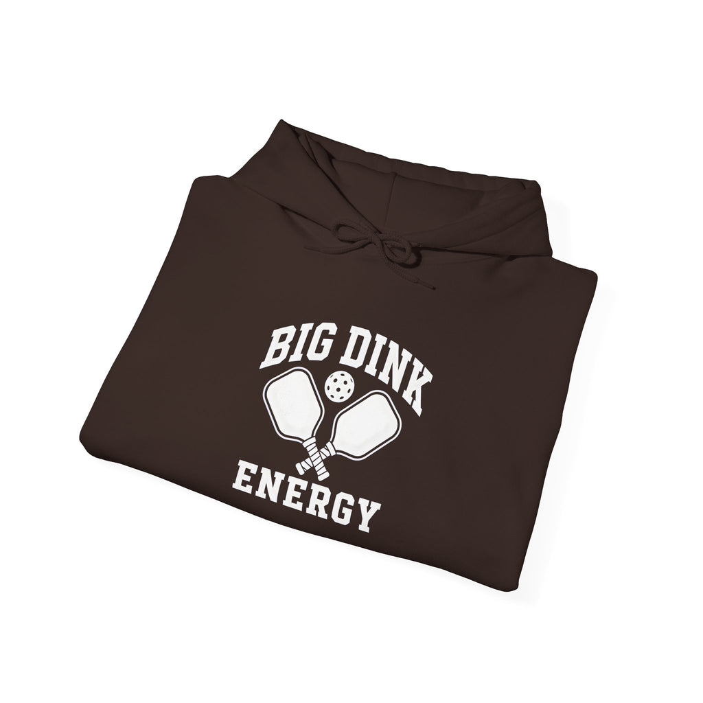 Big Dink Energy Hoodie - Pickleball Paddle Graphic Sweatshirt