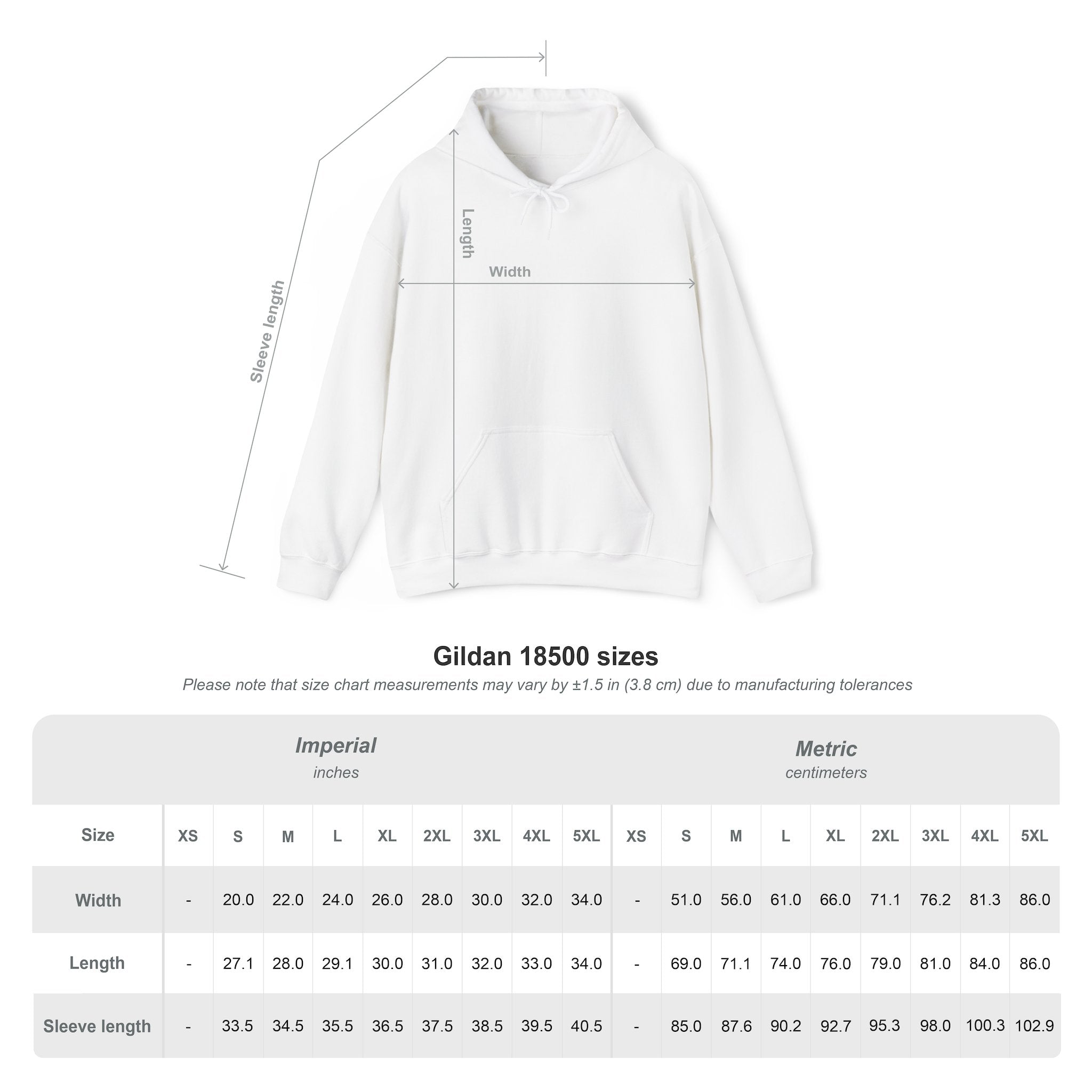 Big Dink Energy Hoodie - Pickleball Paddle Graphic Sweatshirt